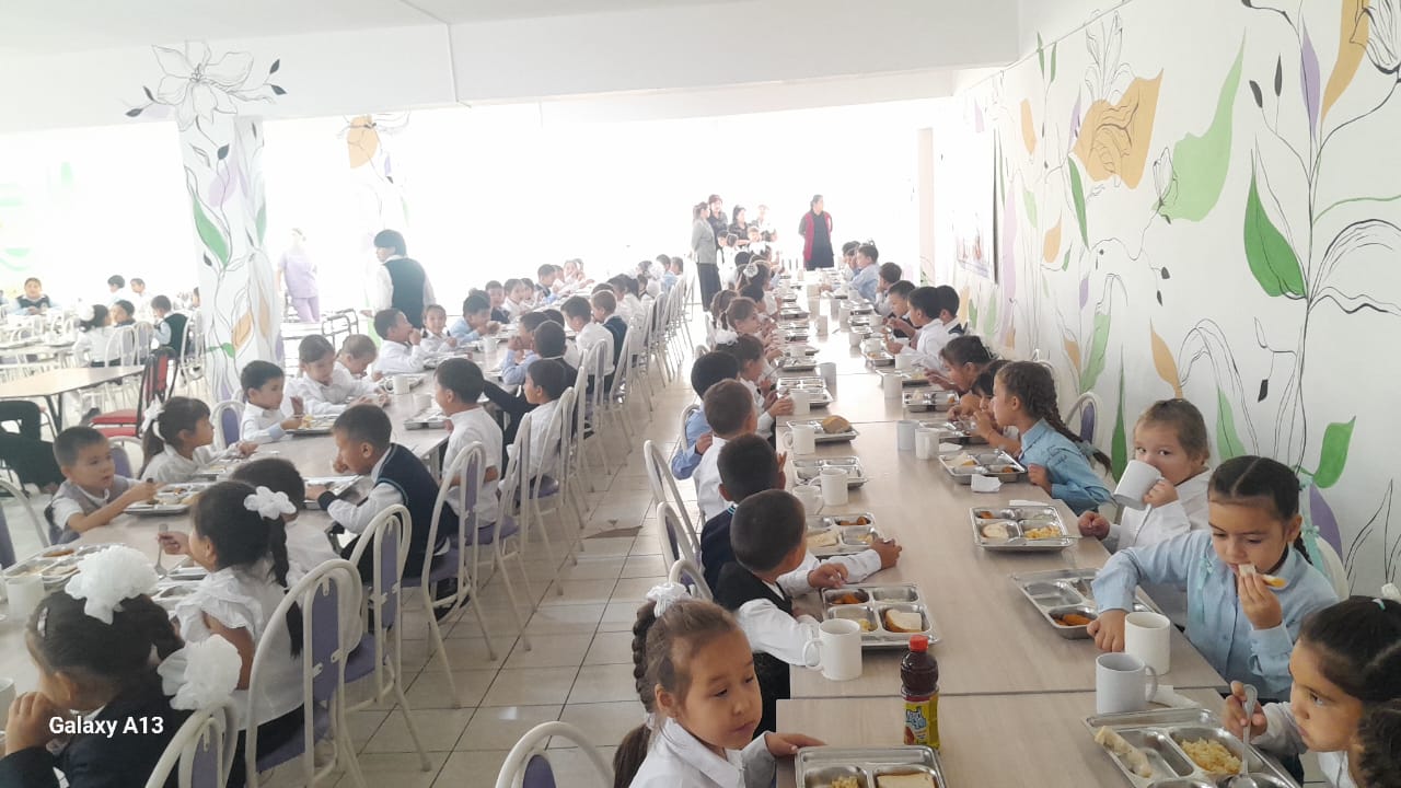 WhatsApp Image 2026 02 09 at 08.22.47